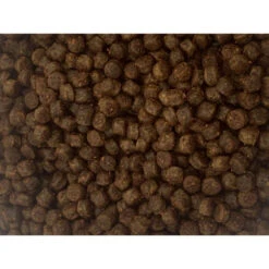 Vital Baits Pellets The Mojo 1kg -Angeln Rabatt 07 0011r 2