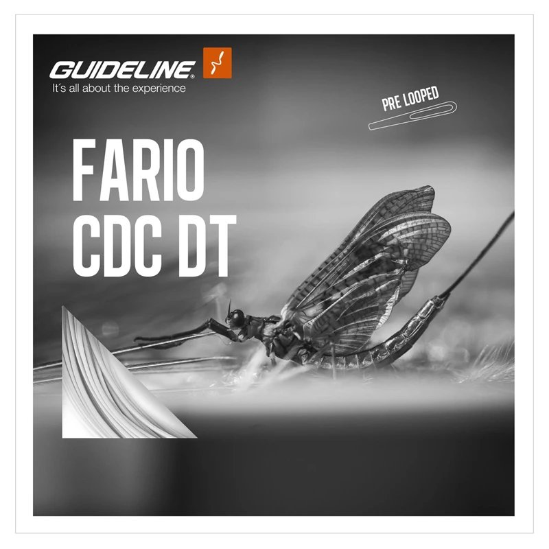 Guideline Fario CDC DT 3 Guideline Fario CDC DT