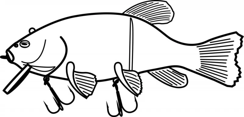 Quantum Freak Of Nature Hybrid Tench 23cm, 175g 6 Quantum Freak Of Nature Hybrid Tench 23cm, 175g – Bild 4