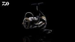 Daiwa 21 Luvias Airity -Angeln Rabatt 32 217105r 2