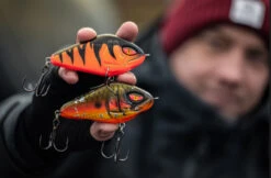 Daiwa PX Lazy Jerk Distance 9 Daiwa PX Lazy Jerk Distance -Angeln Rabatt 32 217457r 3