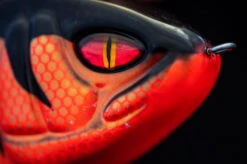 Daiwa PX Lazy Jerk Distance 10 Daiwa PX Lazy Jerk Distance -Angeln Rabatt 32 217457r 4