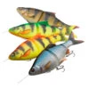 Savage Gear 4D Line Thru Roach 32cm -Angeln Rabatt 71459r 1