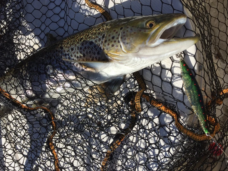 Ivan Draget Original 22g, 11cm 4 Ivan Draget Original 22g, 11cm – Bild 2