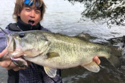 Megabass Vibration-X Dyna (Rattle In) -Angeln Rabatt MB VXDR 4513473465505r 2