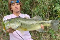 Megabass Vibration-X Dyna (Rattle In) -Angeln Rabatt MB VXDR 4513473465505r 3