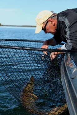 Drifter Tackle Predator Net 48 Black Handle 11 Drifter Tackle Predator Net 48 Black Handle -Angeln Rabatt PR40XXL BKr 4