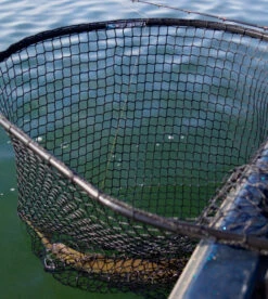 Drifter Tackle Predator Net 48 Black Handle 12 Drifter Tackle Predator Net 48 Black Handle -Angeln Rabatt PR40XXL BKr 5