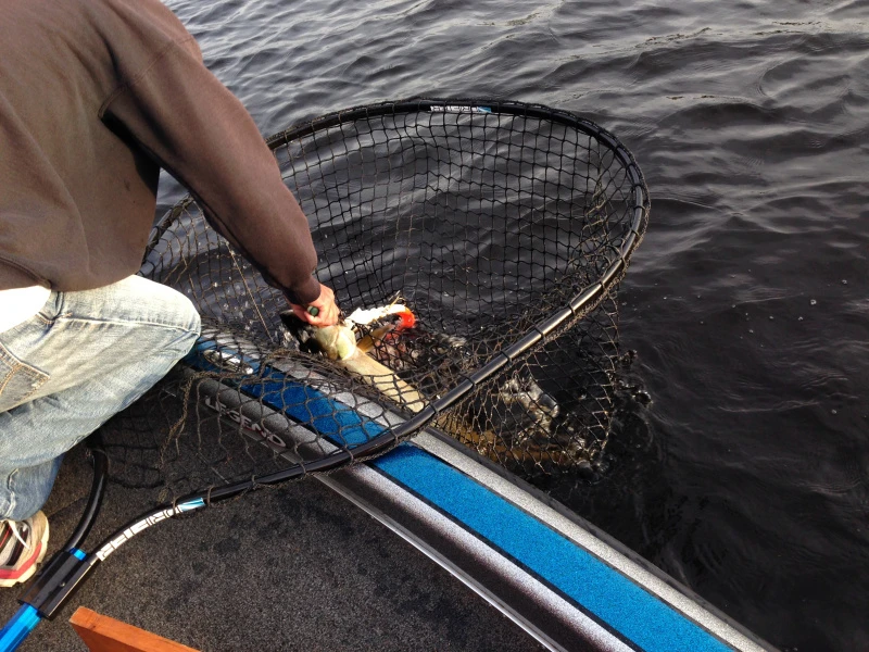 Drifter Tackle Predator Net 48 Black Handle 8 Drifter Tackle Predator Net 48 Black Handle – Bild 6