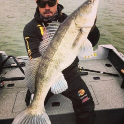 Gator Gum 22 Cm (1-Pack) -Angeln Rabatt gatorgumr 3