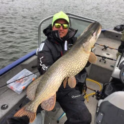 Gator Gum 22 Cm (1-Pack) -Angeln Rabatt gatorgumr 5