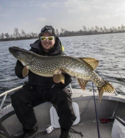 Gator Gum 22 Cm (1-Pack) -Angeln Rabatt gatorgumr 6