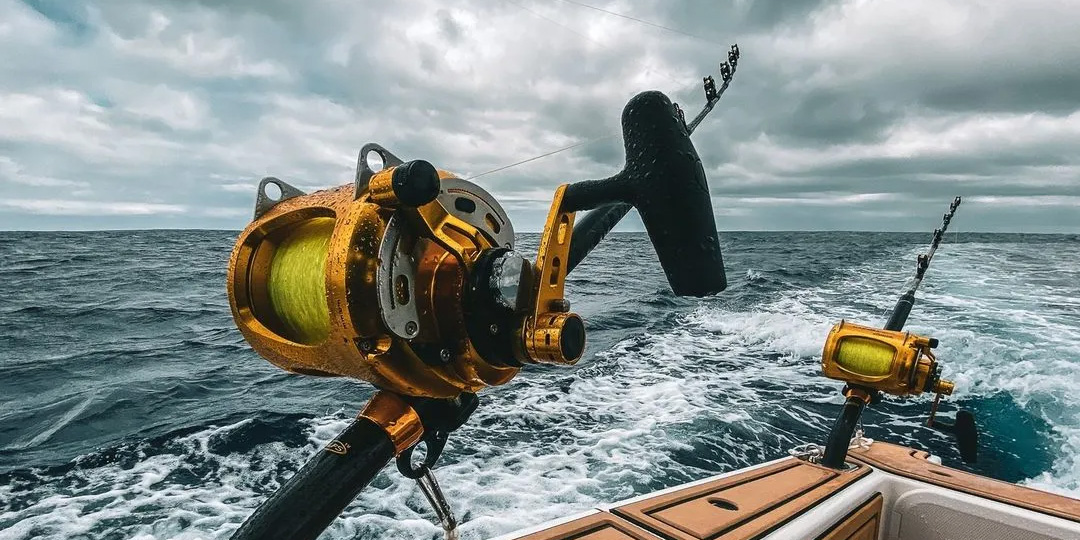 Angeln Rabatt -Angeln Rabatt 1